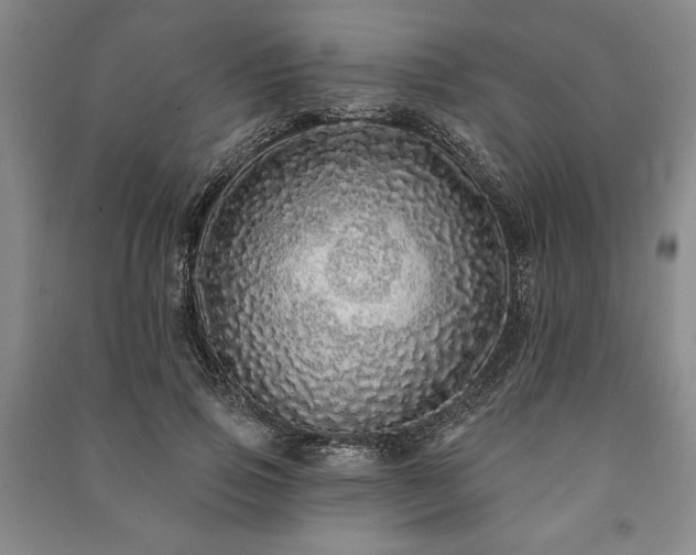 X0000091210741200708161542