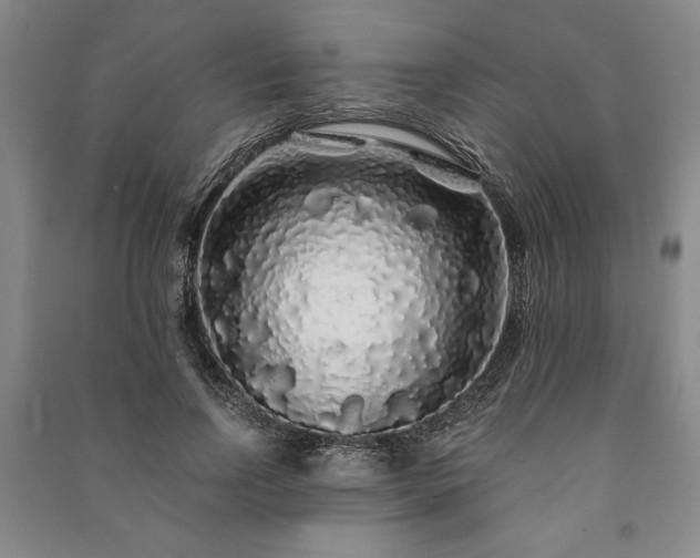 X0000091210742200708161542