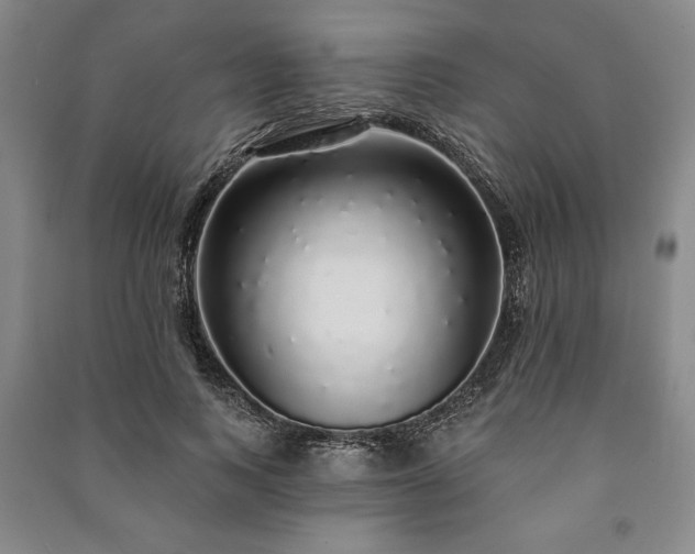X0000091210743200708161542
