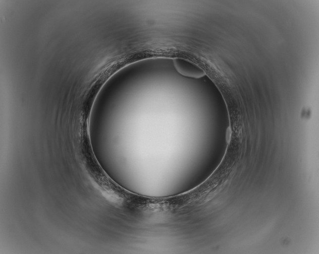 X0000091210744200708161543