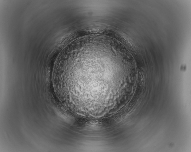X0000091210745200708161543