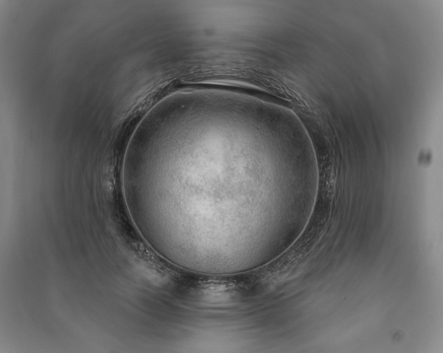 X0000091210746200708161543