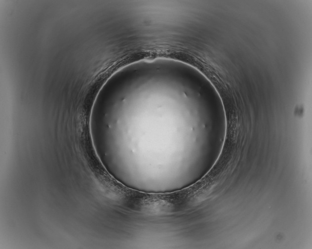 X0000091210747200708161543