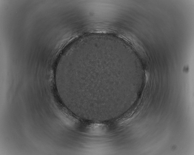 X0000091210748200708161543