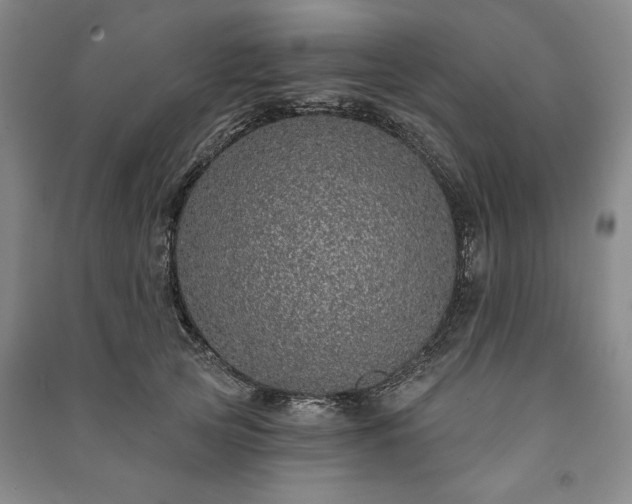 X0000091210753200708161543