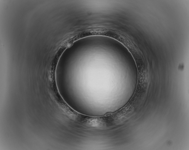 X0000091210755200708161543