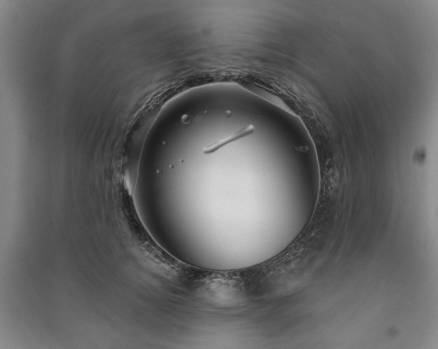 X0000091210756200708161543