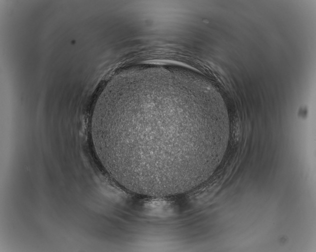 X0000091210759200708161543