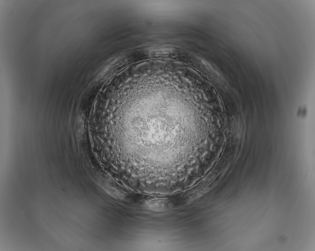 X0000091210761200708161543