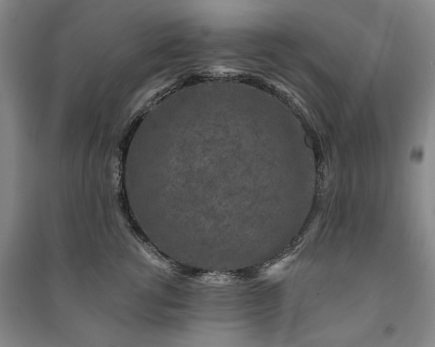 X0000091210762200708161543