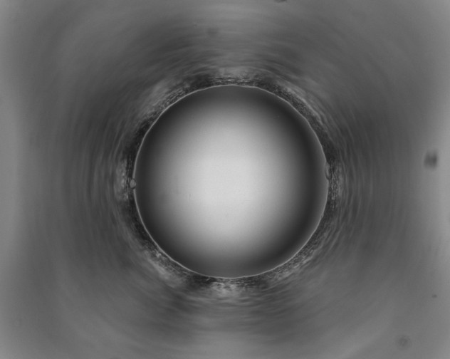 X0000091210764200708161543