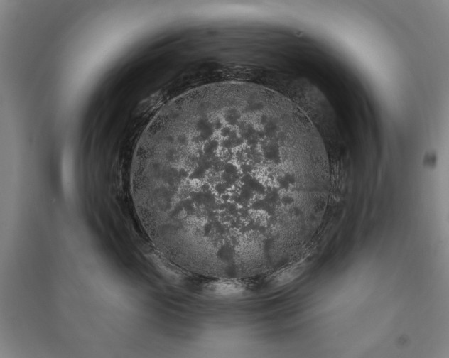 X0000091210765200708161543
