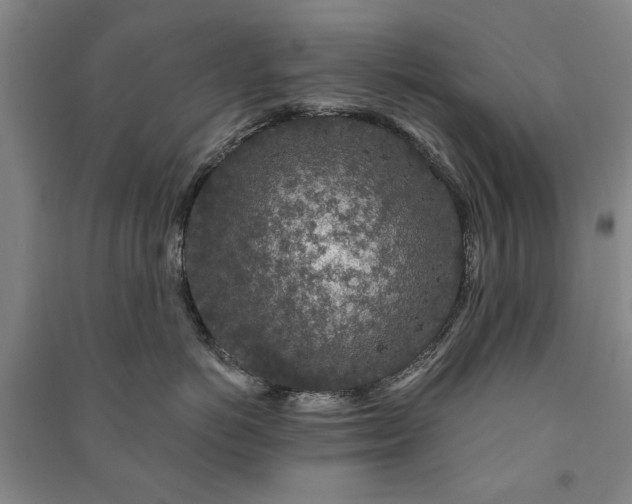 X0000091210766200708161543