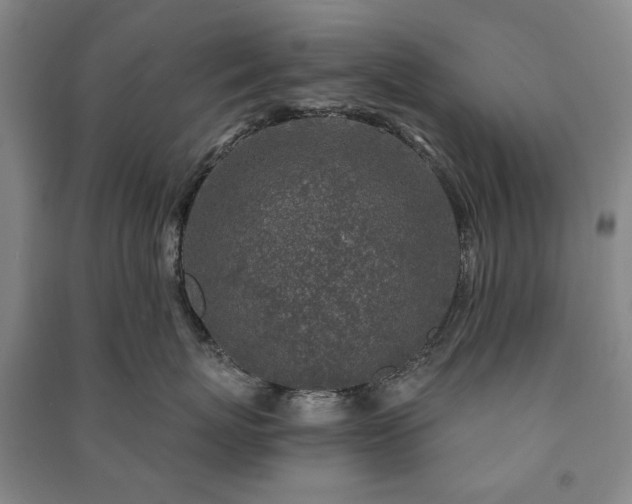 X0000091210767200708161543