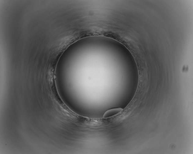X0000091210768200708161543