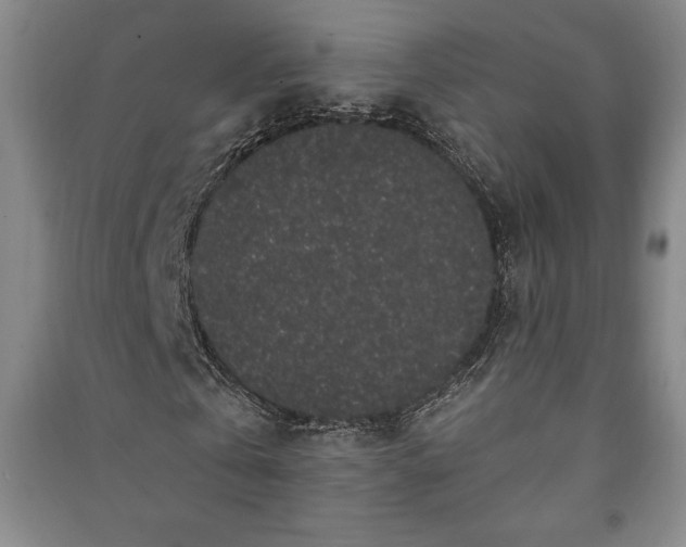 X0000091210769200708161542