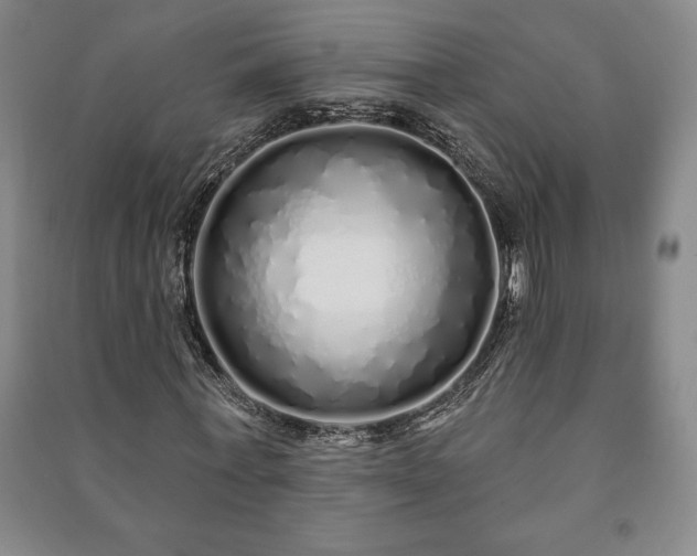 X0000091210771200708161542