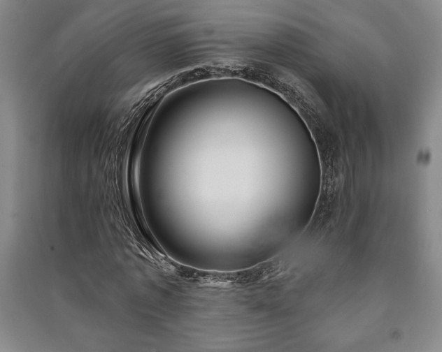 X0000091210773200708161542