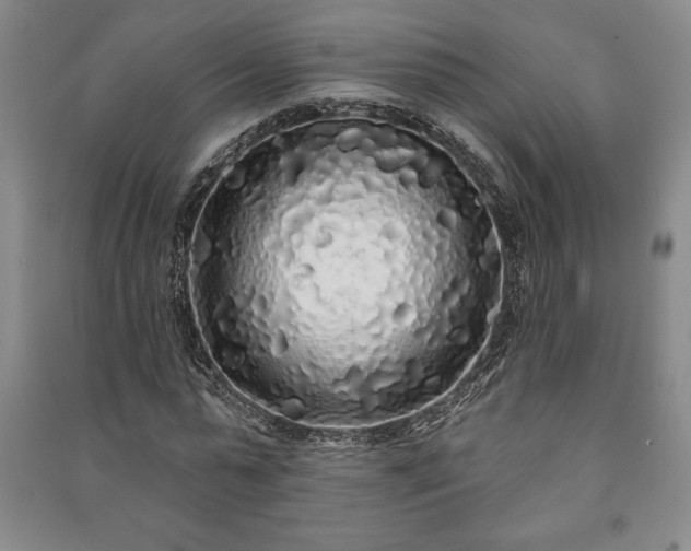 X0000091210775200708161542