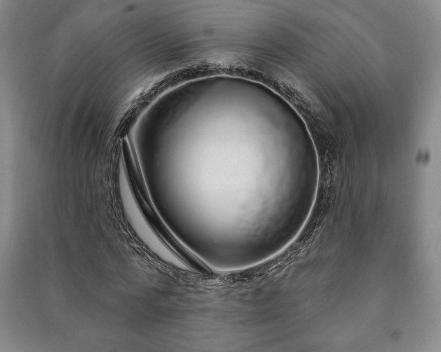 X0000091210776200708161542