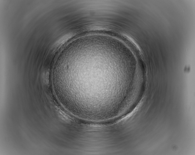 X0000091210777200708161542