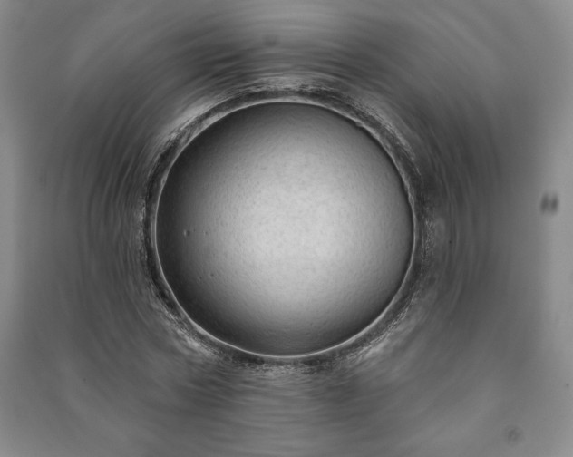 X0000091210778200708161542