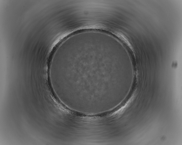 X0000091210781200708161542