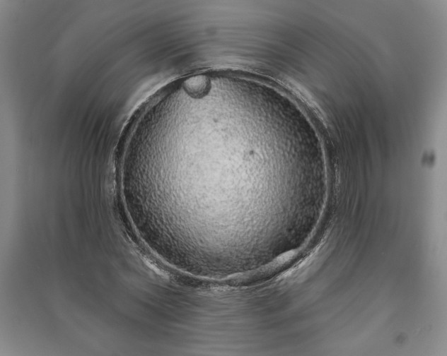 X0000091210782200708161542