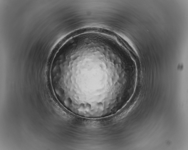 X0000091210783200708161542