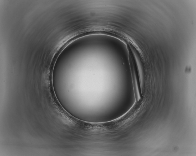 X0000091210786200708161542