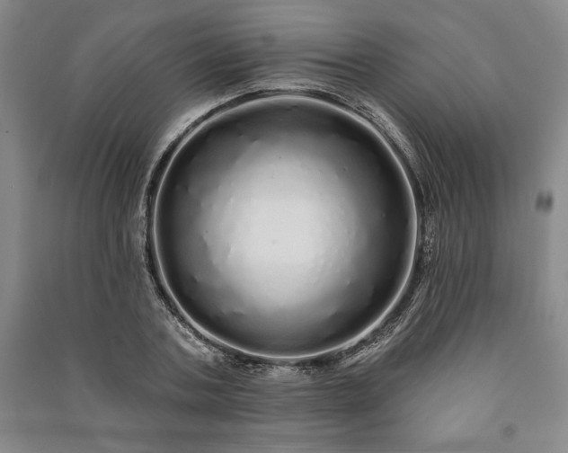 X0000091210787200708161542