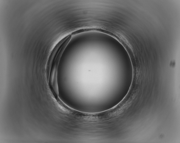 X0000091210789200708161542