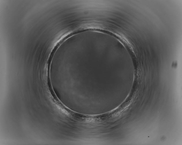 X0000091210790200708161542