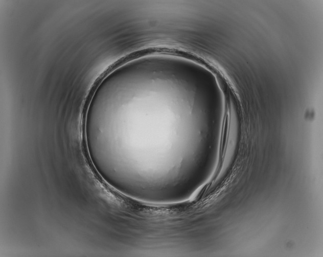 X0000091210791200708161542