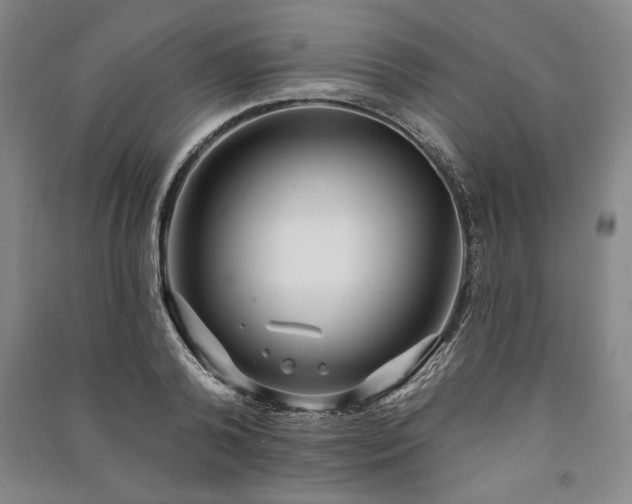 X0000091210792200708161542