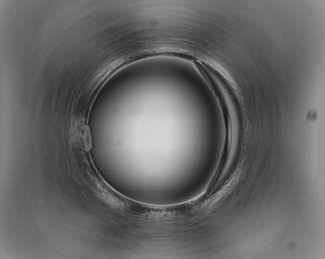 X0000091210793200708161542