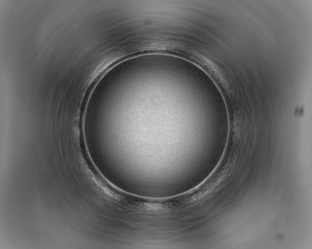 X0000091210794200708161542