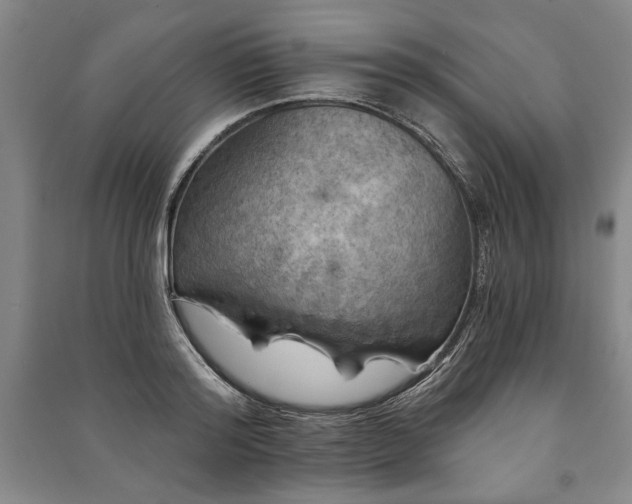 X0000091210796200708161542