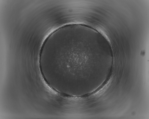 X0000091210797200708161542