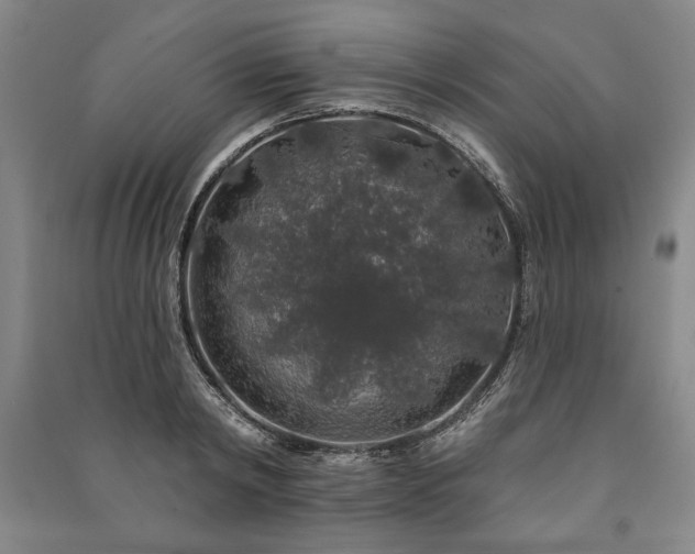 X0000091210798200708161542