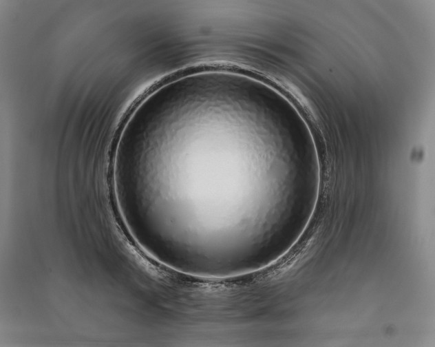 X0000091210799200708161542