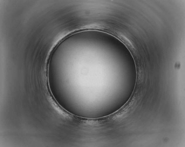 X0000091210800200708161542