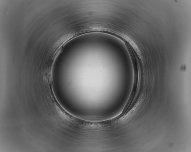 X0000091210801200708161542