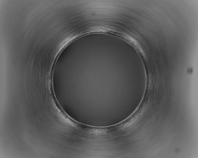 X0000091210802200708161542