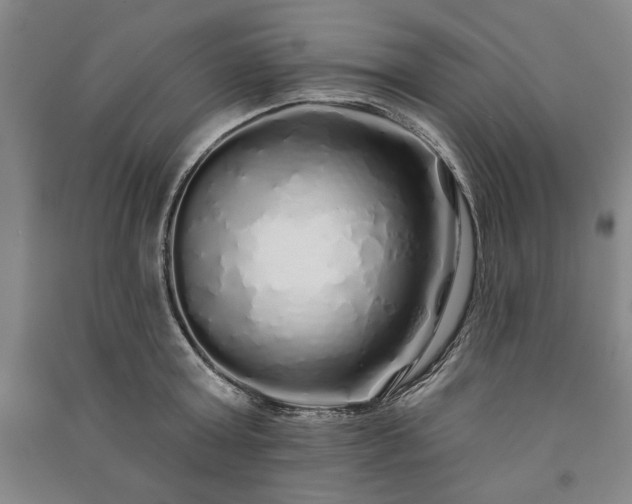 X0000091210803200708161542
