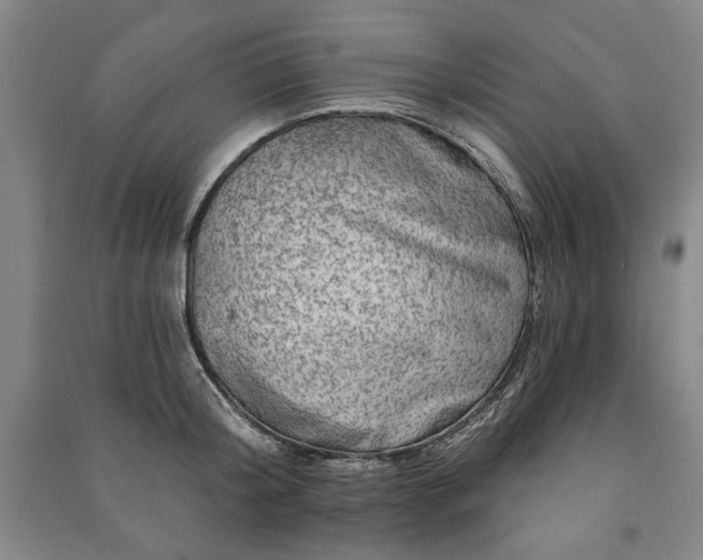 X0000091210804200708161542