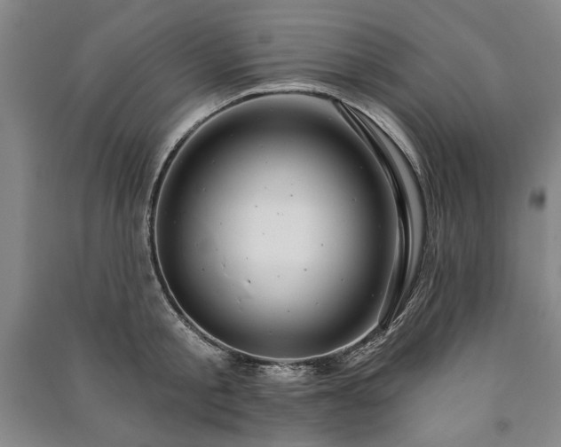 X0000091210805200708161542