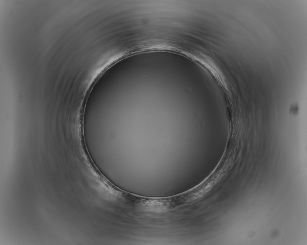 X0000091210806200708161542