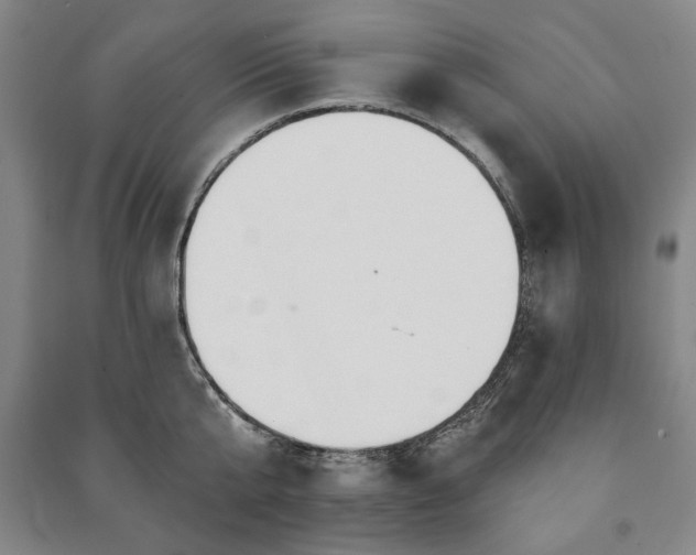 X0000091210807200708161542