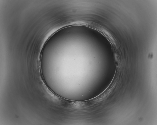 X0000091210808200708161542